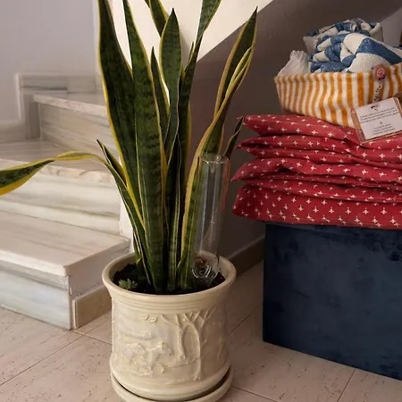 Feriehus Cozy
